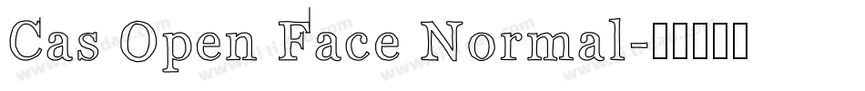 Cas Open Face Normal字体转换